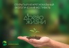 Восемь школьников из Республики Алтай стали лауреатами I степени IХ Открытого межрегионального экологического фестиваля «Древо жизни».